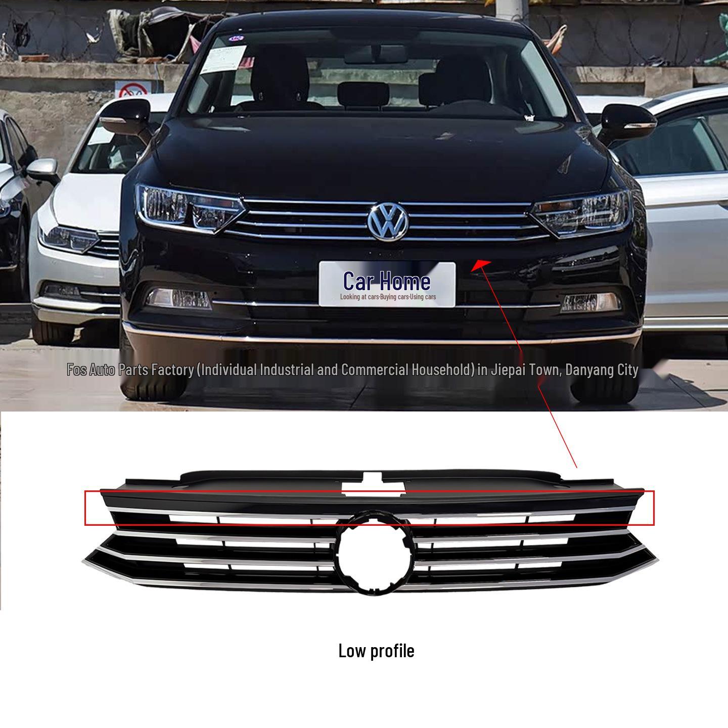 Решетка воздухозаборника переднего бампера для Volkswagen Passat B8 Magotan 2016-2019 (3GD853653K/E) Silver (Premium)