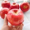 PrimeBlis Set of Food Realistic Artificial Photo Party Showcase Decorations Apples, 5, Samples, Replicas, Fruits, Accessories, Models, Display, Props,