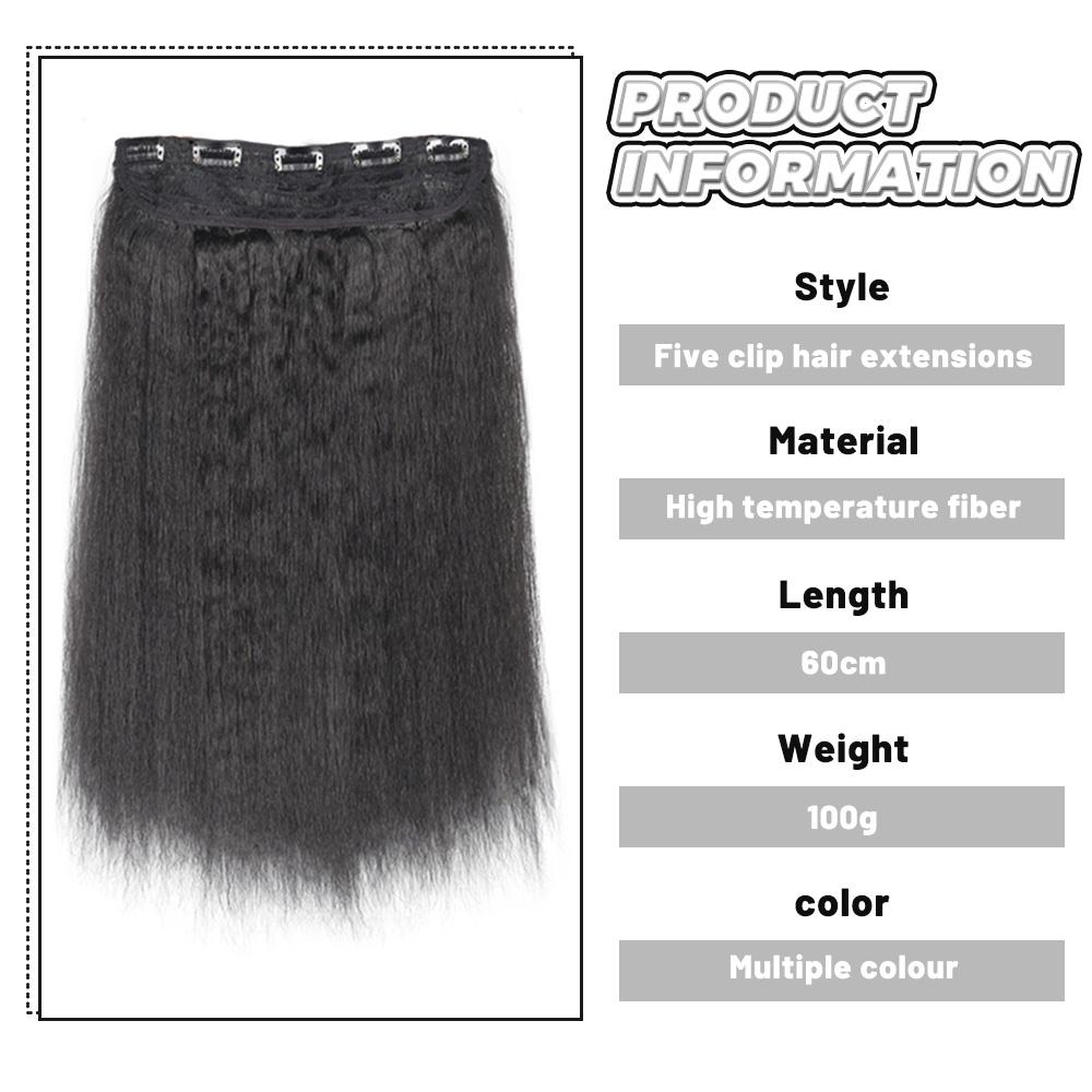 Synthetic Black Long Straight Clip Extension Hair 24 Inch Women's Wig 5 Clip High Temperature Wig