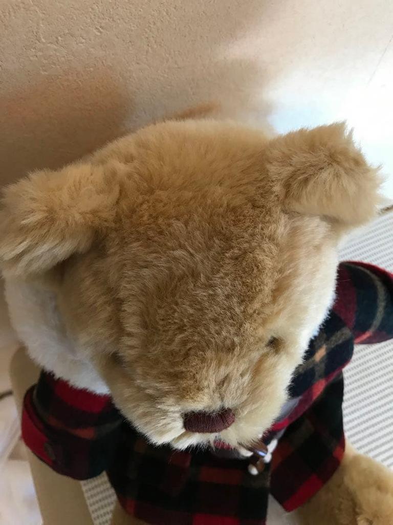 [USED] Super Cute Teddy Bear Plush Duffle Coat