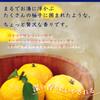 Bathclin Rich Aroma Yuzu Scent Powder Bath 600g 12 Additive, (Approx. servings)