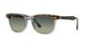 Ray-Ban Sunglasses EAGLEEYE RB2398F 53mm Havana On Transparent Green 1294GJ