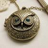 Women's Blue Rhinestone Vintage Locket Pendant Eye Owl Long Chain Necklace