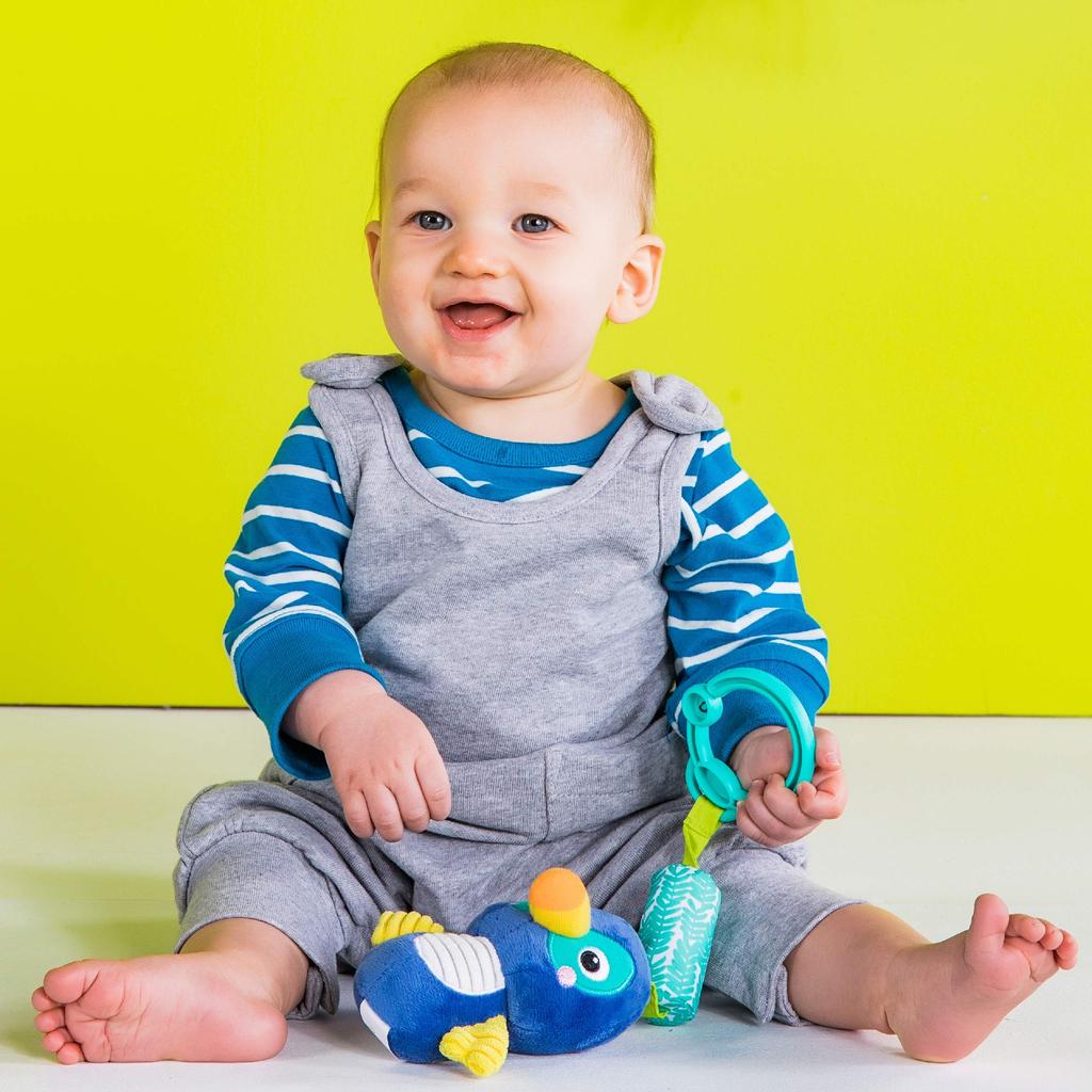 Bright Starts Chime Along Friends Ptáček 12343