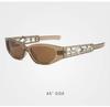 New Style Woman Sun attractive Glasses Cat Eye Shape UV Protection Sunglasses Men Y2K Stylish Sun Glasses for ladies