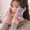 Autumn And Winter Cute Bear Gloves For Women Cold-Proof Plush And Thickened Knitted Touch Screen Warm Gloves