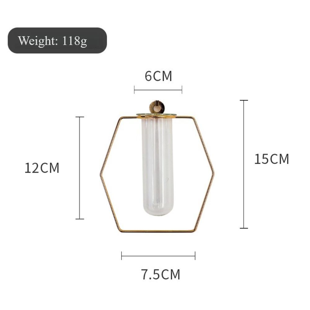 

Nordic Wall Mounted Geometric Shaped Iron Test Tube Glass Vase Creative Hydroponic Plant Vase Home Office Decoration