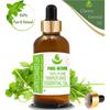 Hierbas Puras Hojas de Cilantro Coriandro Aceite Esencial 100% Coriandrum Sativum ZA 290