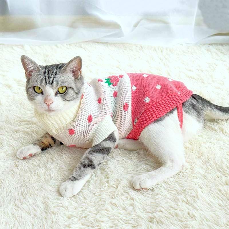 Buy Antumn Winter Clothes for Cats Mascots Katten Sweater Coat for Dogs Cat Costume for Small