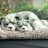 TASINO Dog Plush Toy Figurine 26 X 18 Cm Realistic Cute Lifelike and Child (Parent Husky)