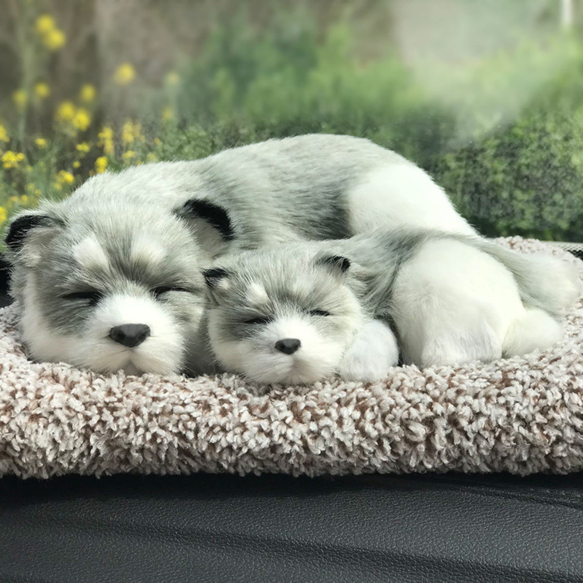 

TASINO Dog Plush Toy Figurine, 26x18cm, Realistic, Cute, Lifelike (Family Husky)