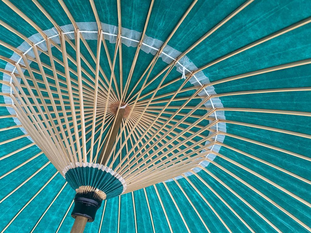 Yamamoto Takezaikuya Hannari Waterproof Japanese Made in Vinyl Coated (YAMAMOTOTAKIZAYIKUYA) Umbrella, Bangasa, Japan, (Green)