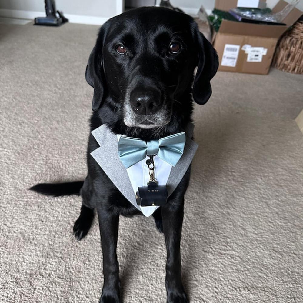 Sacchetto Personalizzato Portafedi per Cani Collare in Pelle Scatola Anelli Per Proporre Animale Domestico Matrimonio Scatola Anelli Iniziale Regalo