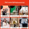 Godox LA200Bi Bi-Color LED Video Light 2-Light Kit