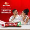 Dabur Red Gel Ayurvedic Toothpaste 300G Herbal Care For Healthy Gums & Fresh Breath