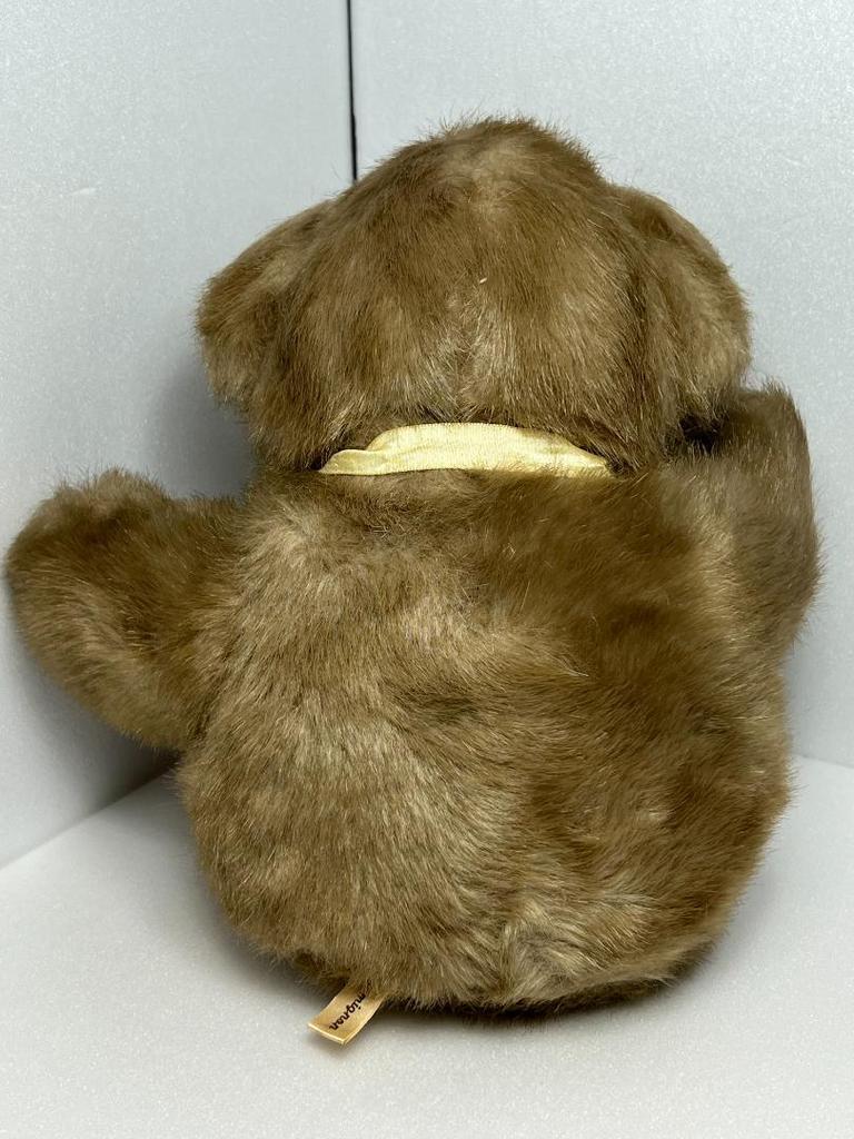 [USED] Teddy Bear Stuffed Animal