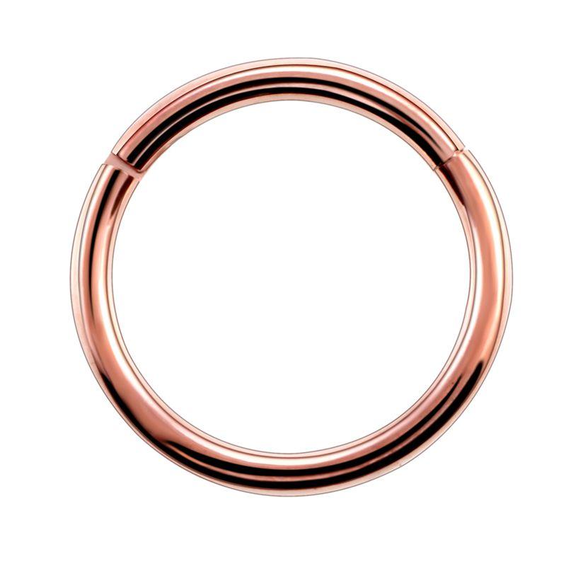 

1PC G23 Titanium Hinged Segment Nose Ring 16g&14g Nipple Clicker Ear Cartilage Tragus Helix Lip Piercing Unisex Fashion Jewelry 20G 0.8x6mm