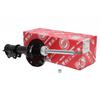 Motor – Elemente de transmisiune auto