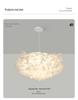 2025 Modern Minimalist Petal Ceiling Light - Full Spectrum, Warm & Romantic for Master Bedroom