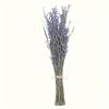 Premium Dried Lavender, 42.93cm, 100Stems. Natural decor for home, weddings & gifts. No power needed.