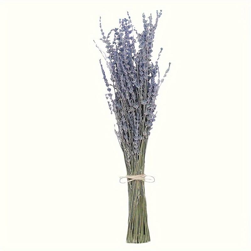 Premium Dried Lavender, 42.93cm, 100Stems. Natural decor for home, weddings & gifts. No power needed.