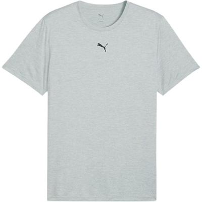 T Shirts Men's Gray Crew Neck Moderate 527378-04