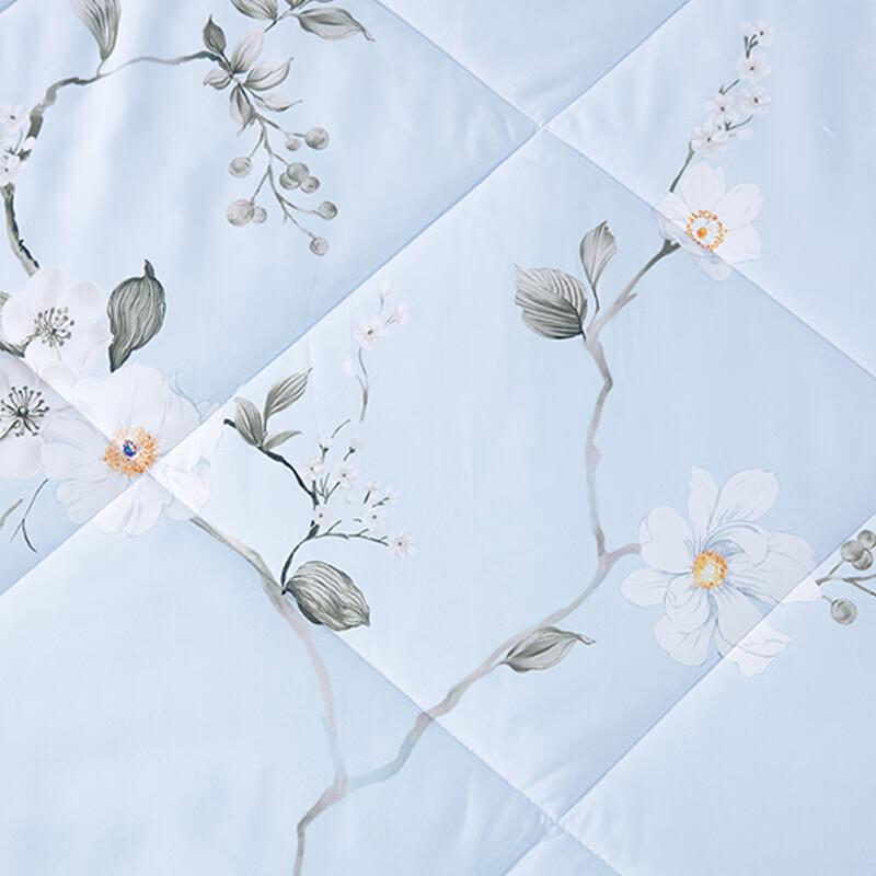 MENGJIE Lan Xizi All-Season Printed Quilt