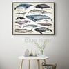 Sharks of The World Art Canvas Prints Great White Shark Poster Mako Hammerhead Tiger Bull Basking Whale Painting Bathroom Decor
