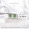 Philips HX2461 Sonic Electric Toothbrush for Adults CN Plug (adapter Included)