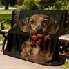 1pc Dachshund Strawberry Outdoor Soft Polyester Flannel Throw Blanket Versatile for All Seasons , Soft , Cozy , Warm All Season Quilted Throw ,