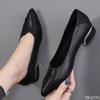 Elegant Minimalist Spring  Autumn New Pointed Toe Single Shoes Fashionable Versatile Thick Heel Shallow Mouth Women's Shoes
