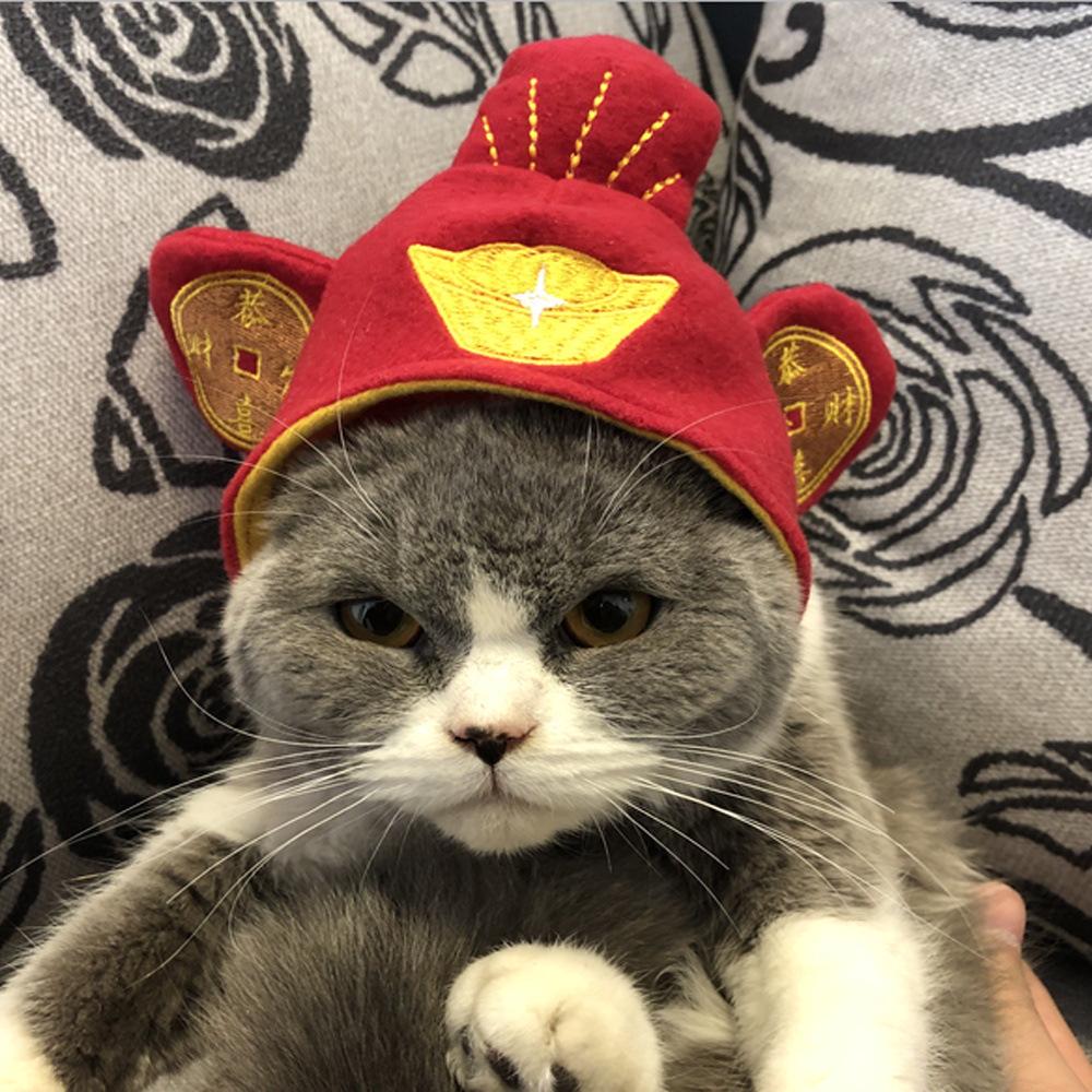 Cute Pet Cat Headwear Cap Chinese Copper Cash Pattern Decoration Hat