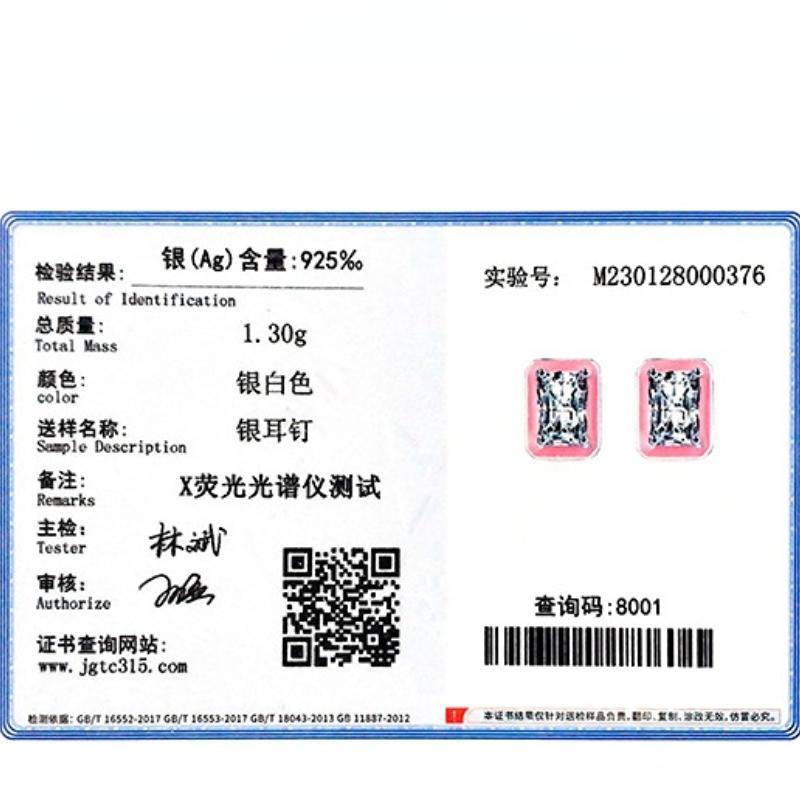 Tancise 925 Sterling Silver Zircon Earrings Drop Earrings For Women Wedding Party Gifts