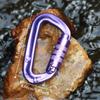 D-shaped Safety Auto Lock Buckle 12KN Professional Carabiner Hammock Hook  Hiking