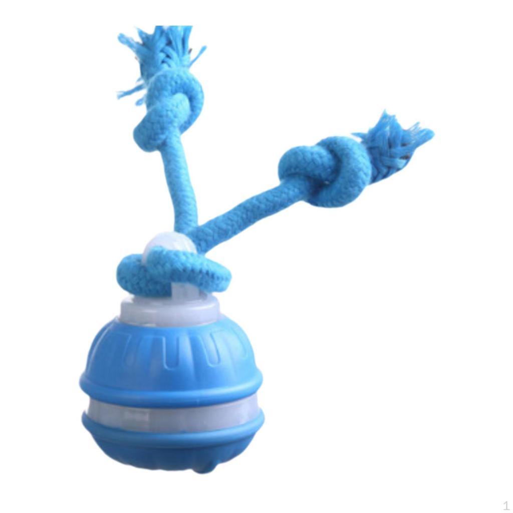 Cat Interaction Toy Ball Electric Rolling Cats Dog Toys for Kitten