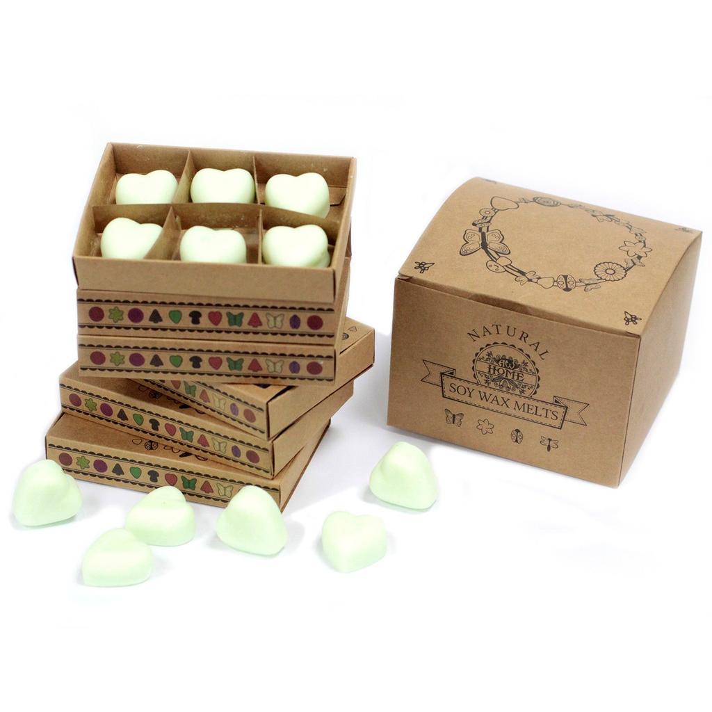 Watermelon Fresh Wax Melts Box