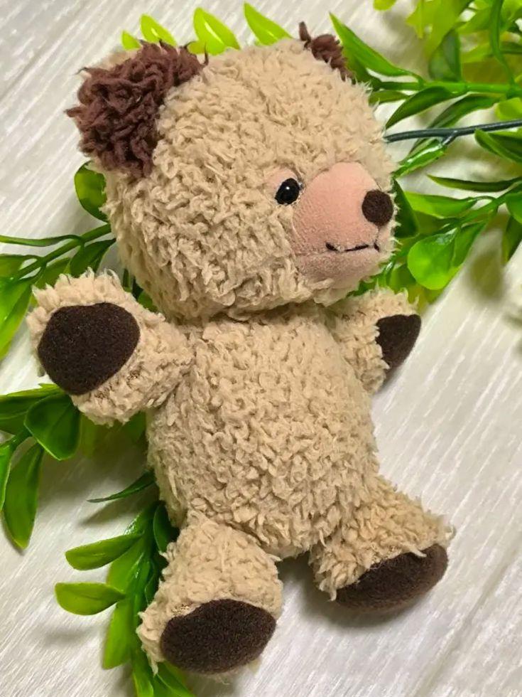 [USED] Sun Arrow Bear Plush Toy Teddy Bear