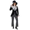 Halloween cartoon costumes Alice in Wonderland, Mr. Hatter costumes, Mr. Mad Hatter magicians