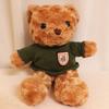 25cm Cute Wear Sweater Teddy Bear Plush Toys Adorable Stuffed Animal with Soft Twisted Teddy Bear Perfect Gift for Girls or Kids