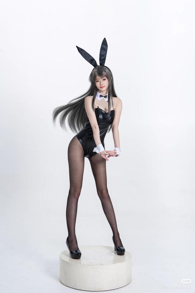 Qichenk Bunny Girl Cosplay Costume, Cute Bunny Leotard, 7-Piece Set for Women, Perfect for Costume Events, Parties, and Photo Shoots, 1840-Black