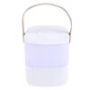 Dimmable Touch Lamp with Handle for Bedroom Rechargeable Adjustable Color Temperature Bedside Table Lamp