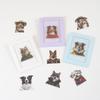 50 Cartoon-Hunde-Sammlung Aufkleberpaket Wasserdicht Transparentes PET Handbuchmaterial Dekorativ Gitarre Notizbuch DIY