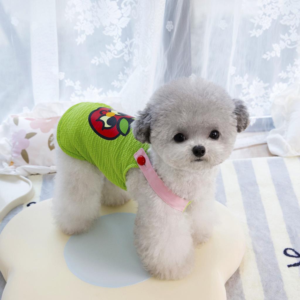 Spring small teddy dog, ragdoll cat, puppy clothes, hairless cat fruit printing polyester fabric pet clothes