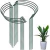 Iron Plant Support Stakes Sturdy Construction Metal Garden Stakes Indoor & Outdoor Use