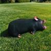3D Printed Pig Stuffed Plush Pillow Realistic Soft Skin Friendly Fabric Cute Cushion for Sofa Bed Holiday Gift for Kids