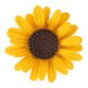 Cute Sunflower Brooch Elegant Alloy Women Lapel Pin Clothing Collocation Accessories for Backpack Suit