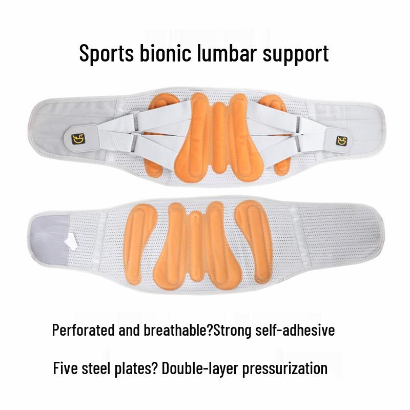 

OLOEY Bionic Waist Support Belt