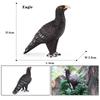 Oenux Forest Bird Animals Wild Ostrich Magpie Owl Crow Flamingos Figurines Action Figure PVC Garden Decoration Miniature Kid Toy