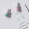 ATELIER PIERRE Pastel Miffy Set of 079338 Magnets, 4,