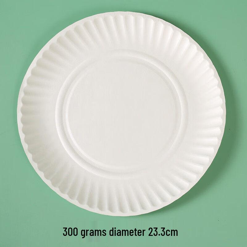 Thickened Disposable Pulp Paper Plates